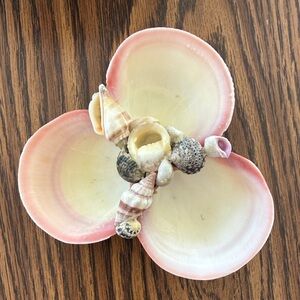 Pink & Cream Shell Flower Dish with Assorted Mini Shells